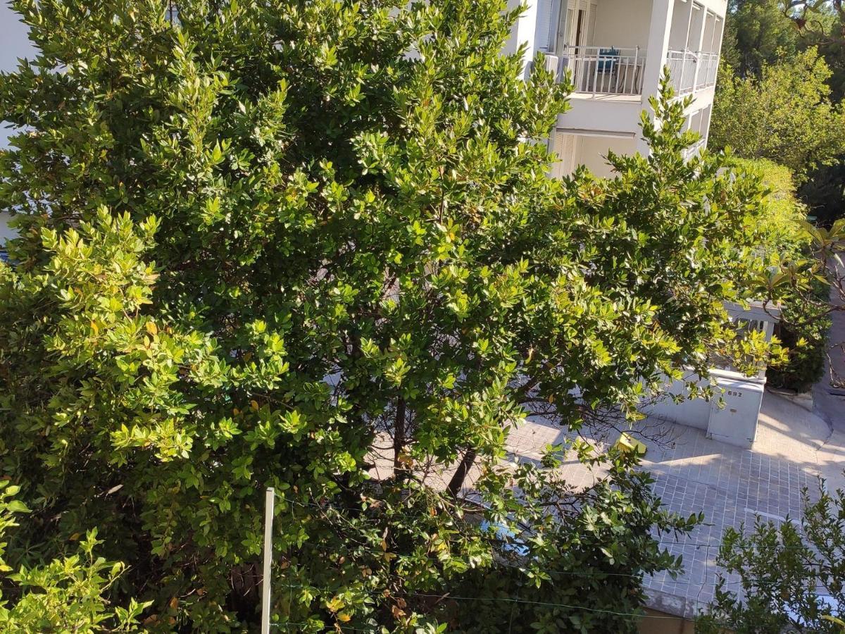 Apartments Ivo Makarska Eksteriør billede
